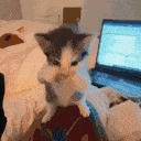 scuba.gif