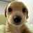 Pari_Gamer123